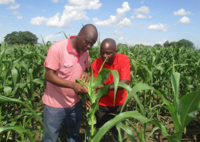 Church of God in Malawi, implement “Farming God’s Way”