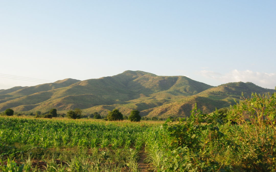 Tithandizane: Diwa Baptist